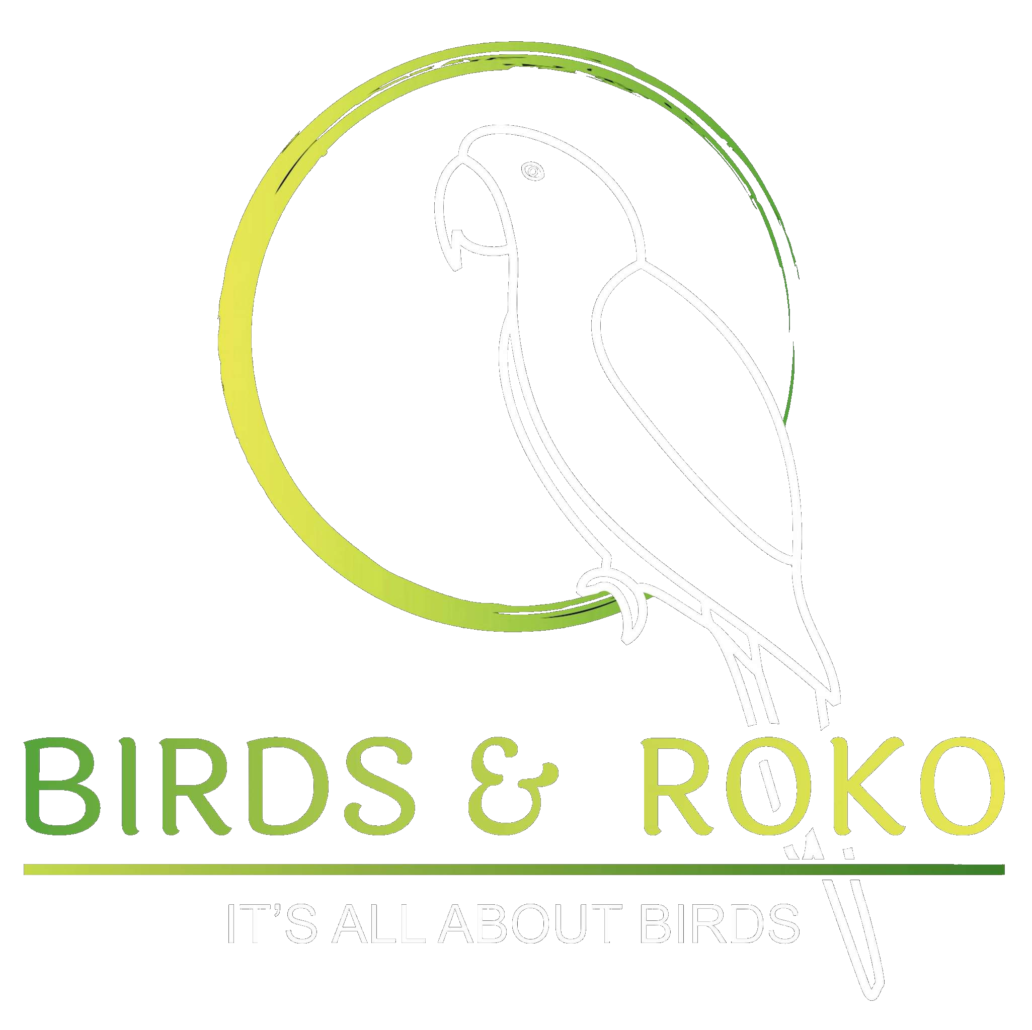 Birds & RoKo